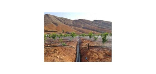 如何在干旱地区应用节水灌溉技术以保障农业生产？